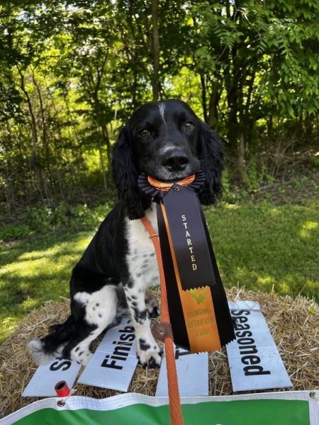 Morgan with NHRA qualification event ribbon