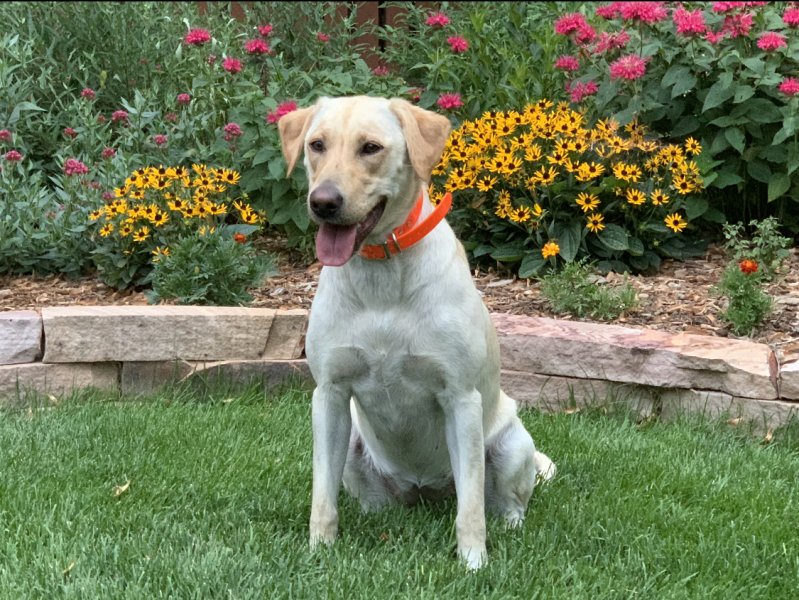 Carly at 2 years old