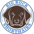 Big Rock Shorthairs logo