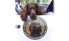 DrWatson Boykin Spaniels logo